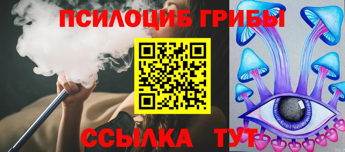 Псилоцибиновые грибы мицелий Ступино