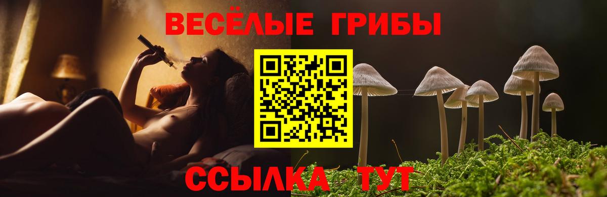 Галлюциногенные грибы мухоморы  Псилоцибиновые грибы MAGIC MUSHROOMS  Вход с VPN  дарнет шоп  Ступино 